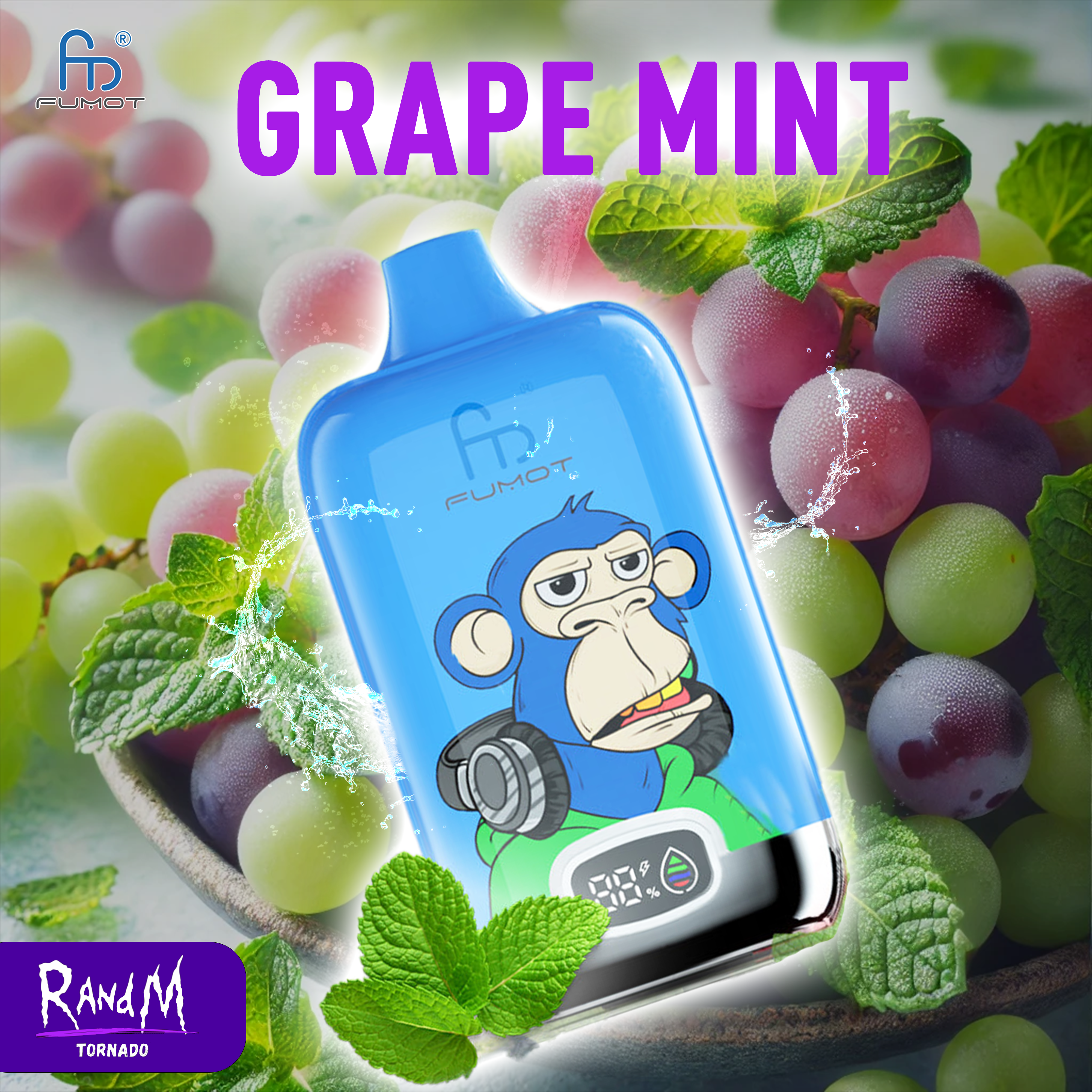 RandM Digital Box 12000- Grape Mint